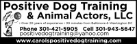 Positive Dog Training & Animal Actors